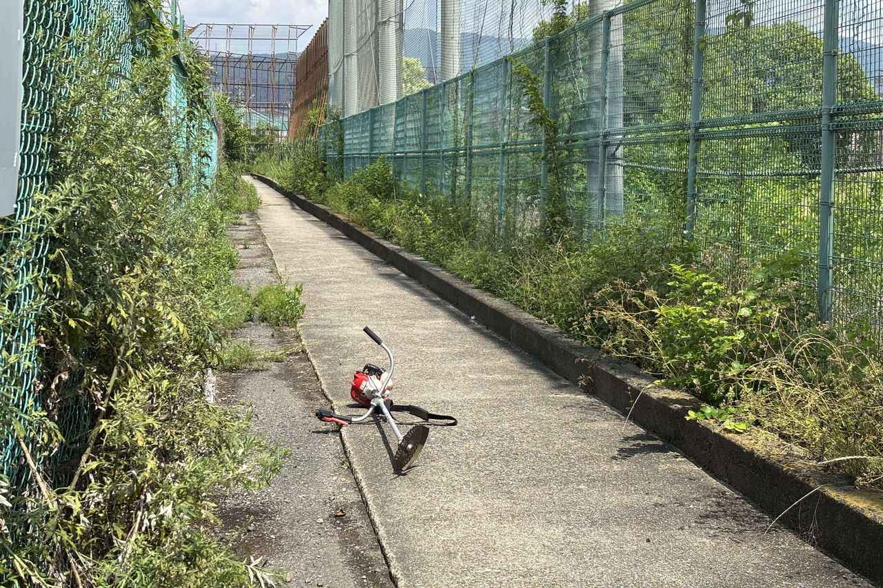 草刈り